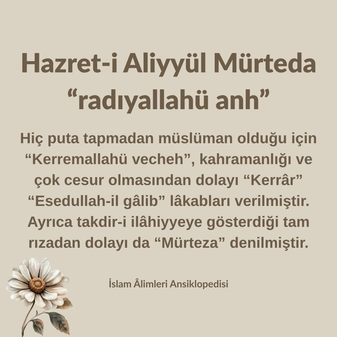 Aliyyül Mürteda (2)